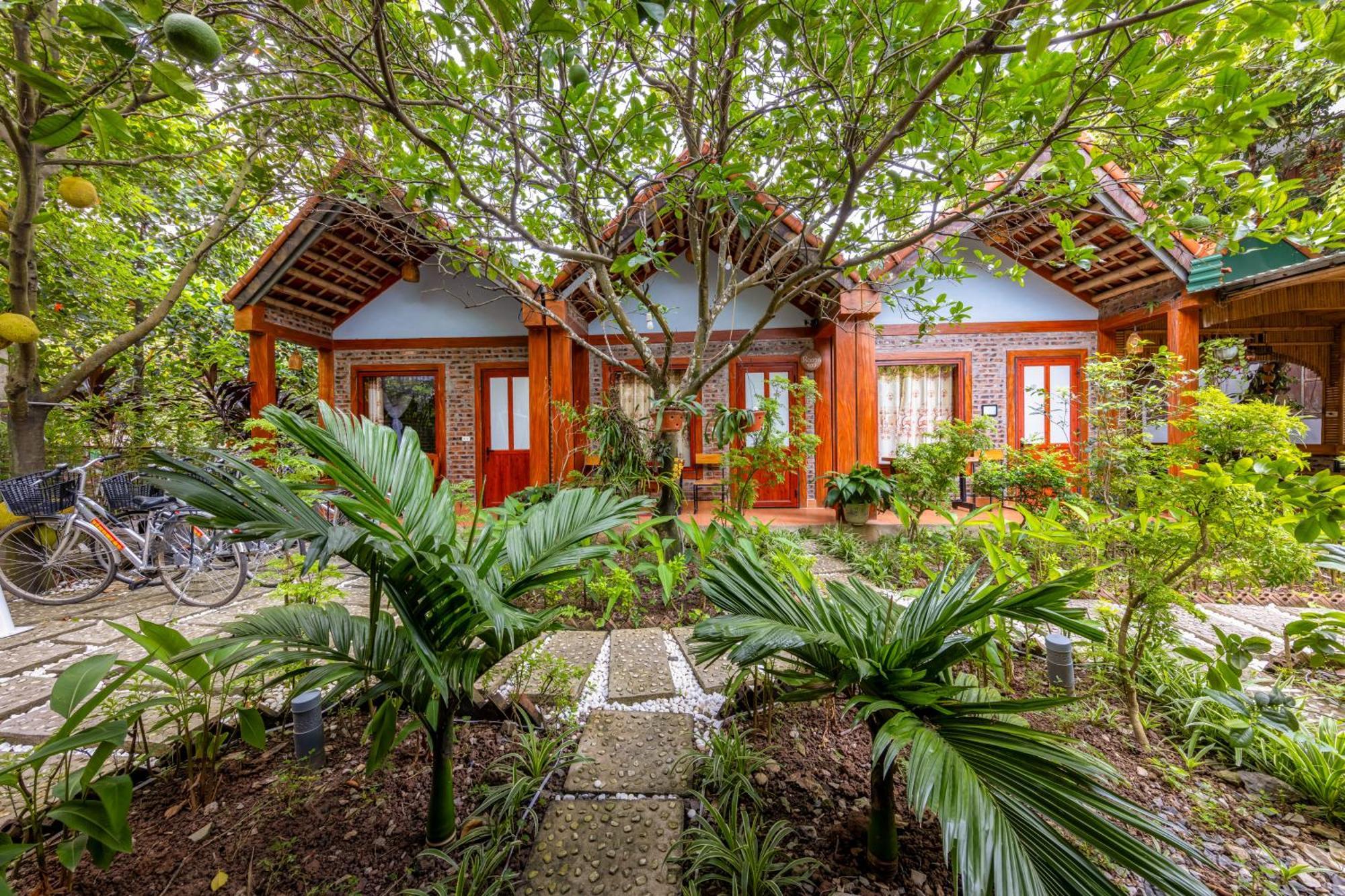 Tam Coc Moonlight Bungalow Van Lam Eksteriør billede